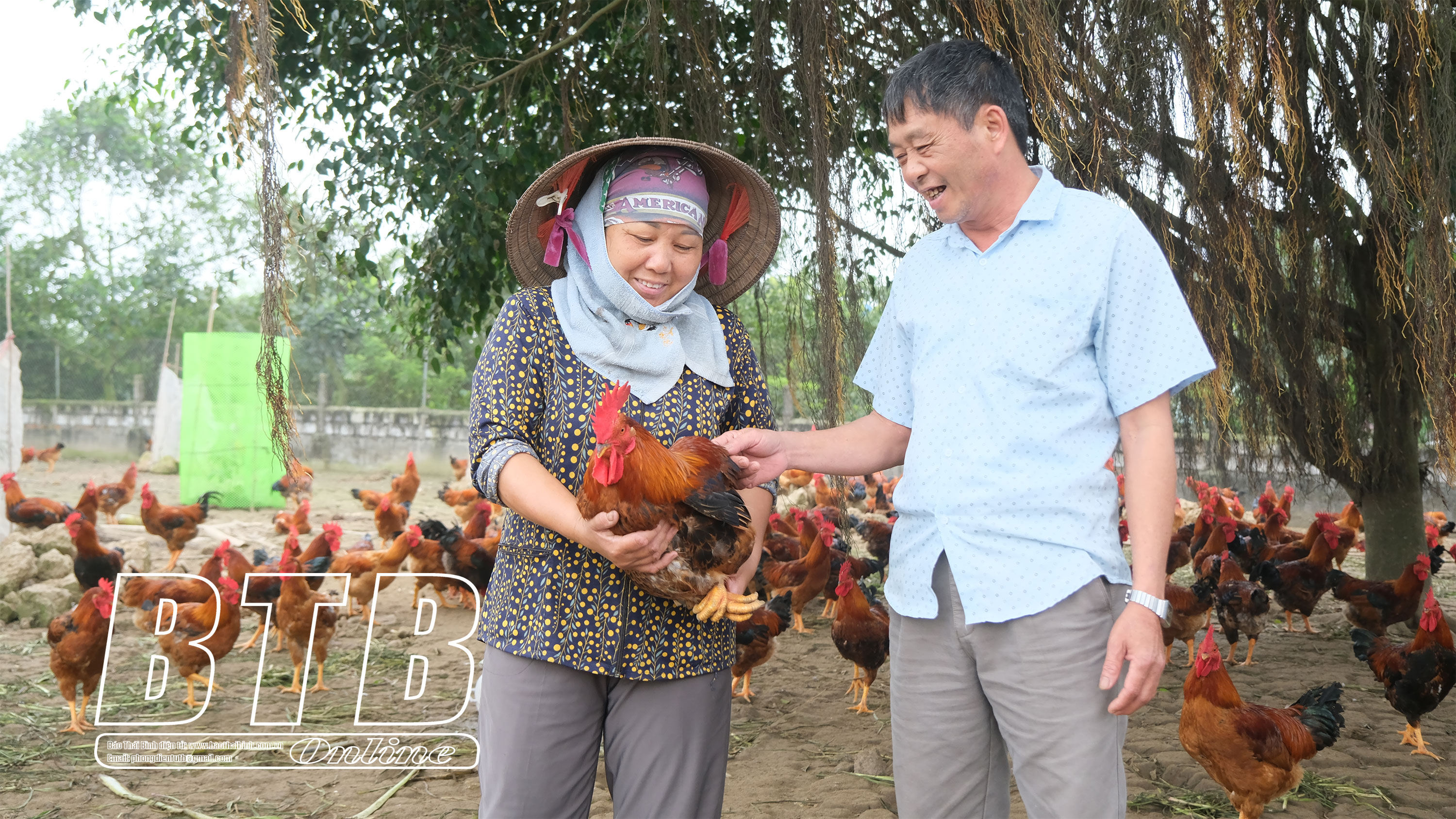 Anh Phượng Hưng Hà, chị Thúy Đông Hưng, anh Phướng Thái Thụy, mỗi người một cách làm mà đều thành triệu phú - Ảnh 2.