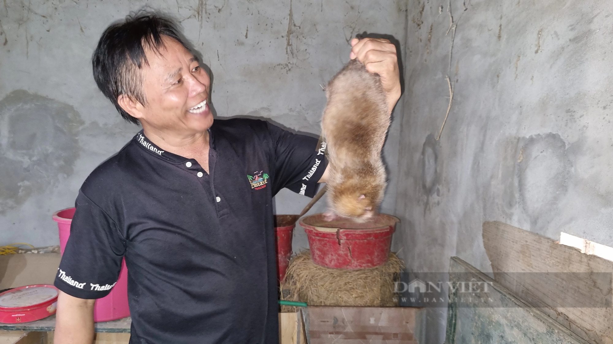 Làm giàu ở nông thôn, nơi này của Hòa Bình lợn rừng chạy hàng đàn, có ông chủ là "vua Hoa Quả Sơn"- Ảnh 4.