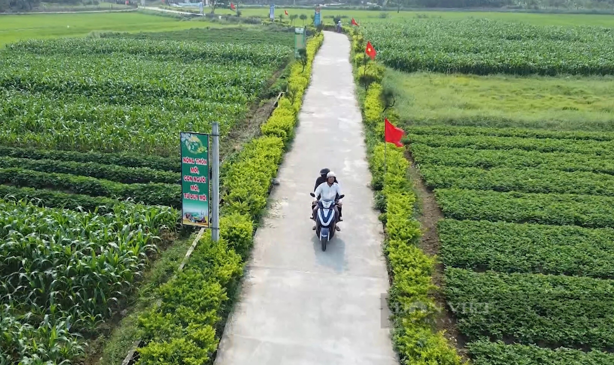 Nông thôn mới Quảng Nam: Hướng đến những miền quê đáng sống ở Quế Sơn- Ảnh 5.