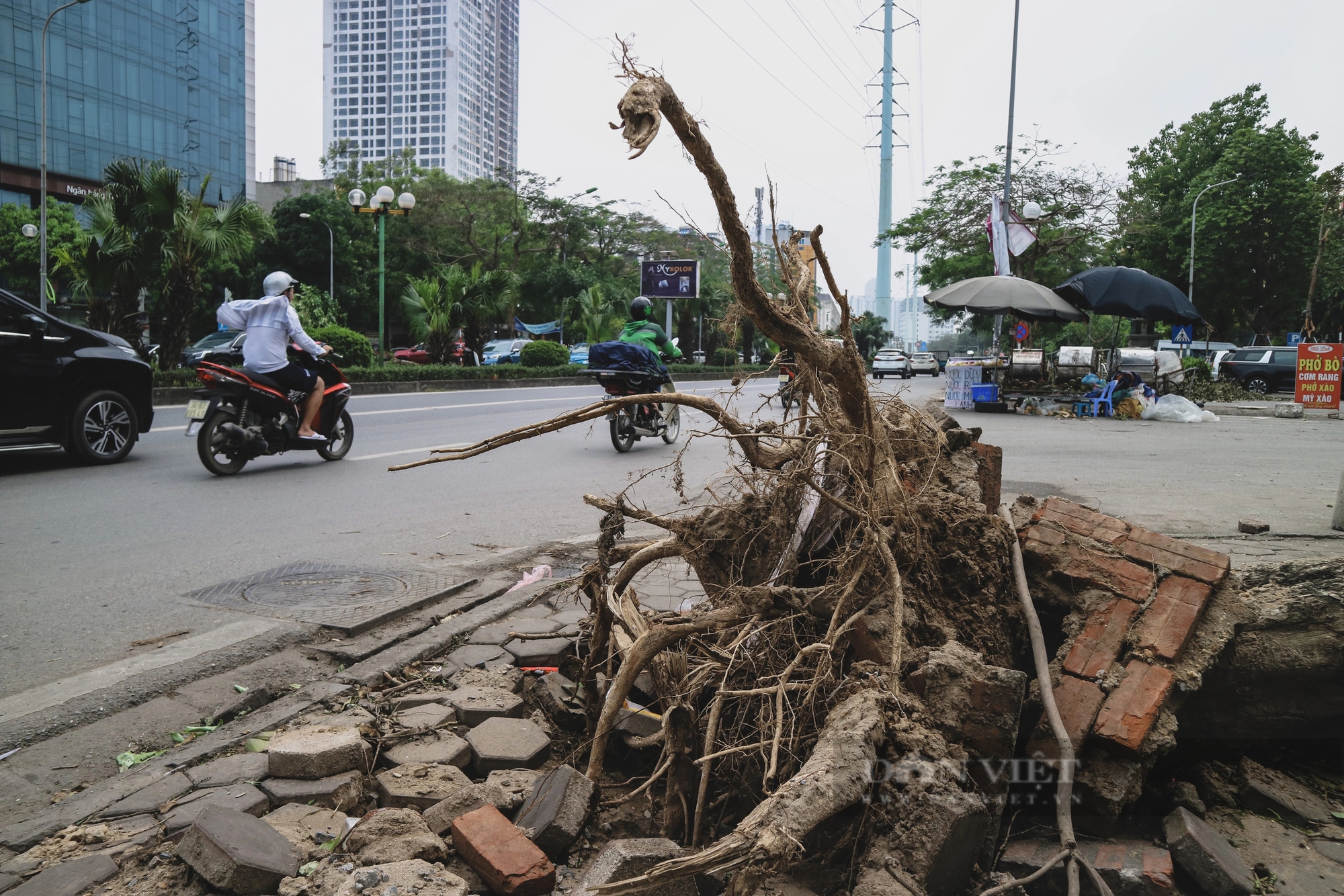 Nhiều ngày sau cơn giông, một số tuyến đường ở Hà Nội vẫn ngổn ngang cây đổ- Ảnh 6.