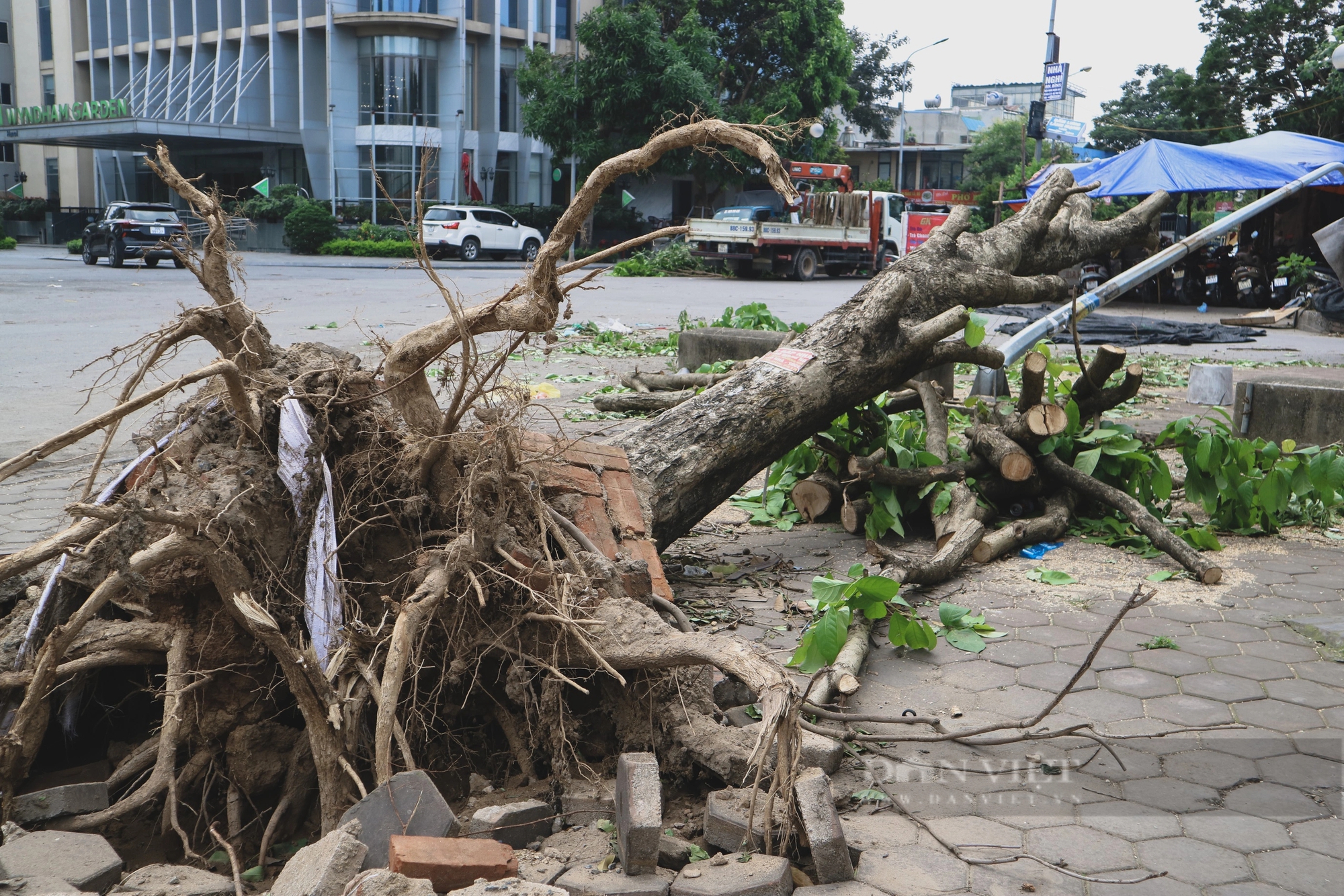 Nhiều ngày sau cơn giông, một số tuyến đường ở Hà Nội vẫn ngổn ngang cây đổ- Ảnh 7.