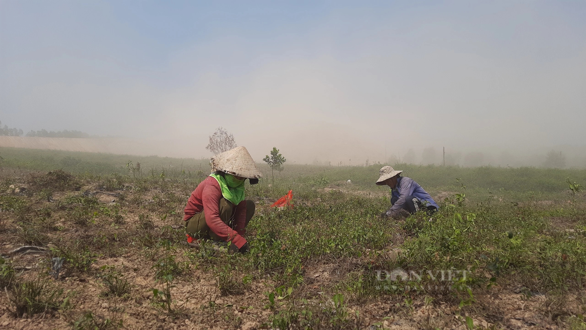 Vụ Công ty Cổ phần thương mại Hoành Sơn lấn chiếm đất ở Quảng Trị: Doanh nghiệp “cầm đèn chạy trước ô tô”- Ảnh 4.