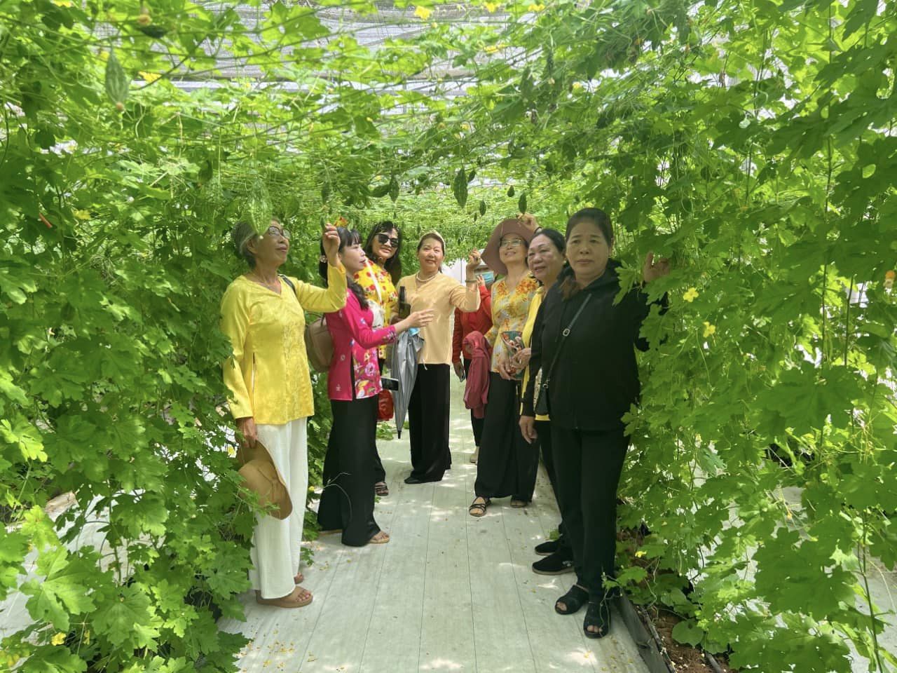 Đưa nông dân TP.HCM tham quan, học tập những mô hình hay, hiệu quả về phát triển nông nghiệp- Ảnh 1.