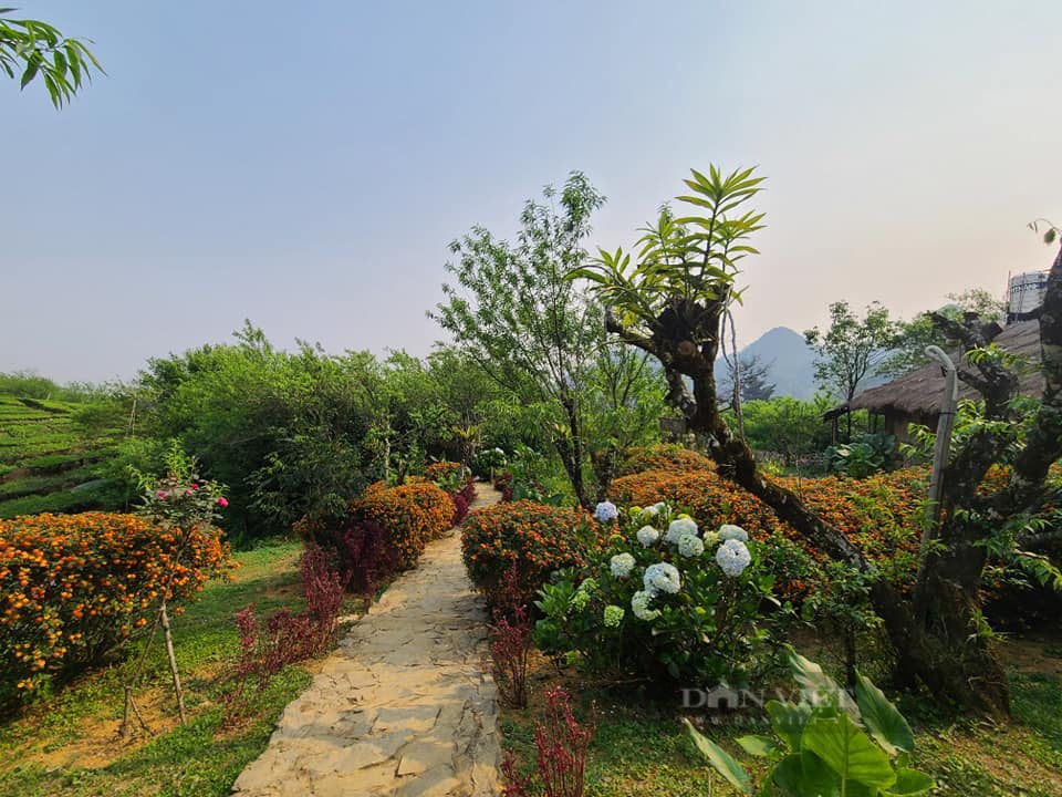 Homestay đẹp như tranh vẽ của vợ chồng A Páo- Ảnh 3.