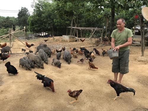 Hội Nông dân huyện Lương Sơn đồng hành, hỗ trợ hội viên, nông dân phát triển kinh tế- Ảnh 3. Hội Nông dân huyện Lương Sơn đồng hành, hỗ trợ hội viên, nông dân phát triển kinh tế- Ảnh 3.