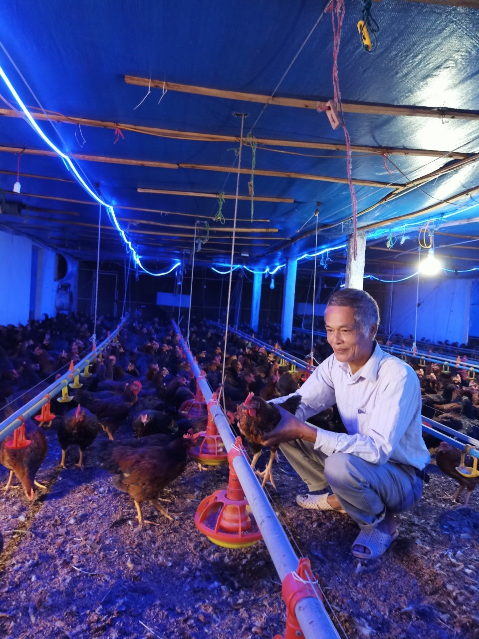 Hội Nông dân huyện Lương Sơn đồng hành, hỗ trợ hội viên, nông dân phát triển kinh tế- Ảnh 2. Hội Nông dân huyện Lương Sơn đồng hành, hỗ trợ hội viên, nông dân phát triển kinh tế- Ảnh 2.