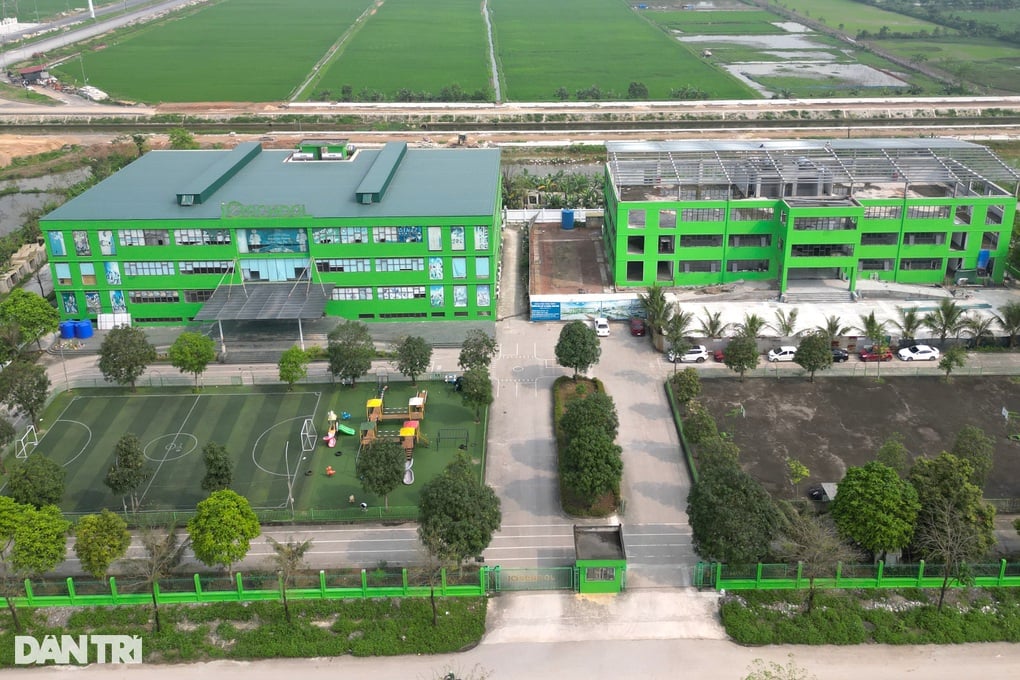 Vụ trường liên cấp quốc tế đào tạo "chui": Con voi chui lọt lỗ kim- Ảnh 1.