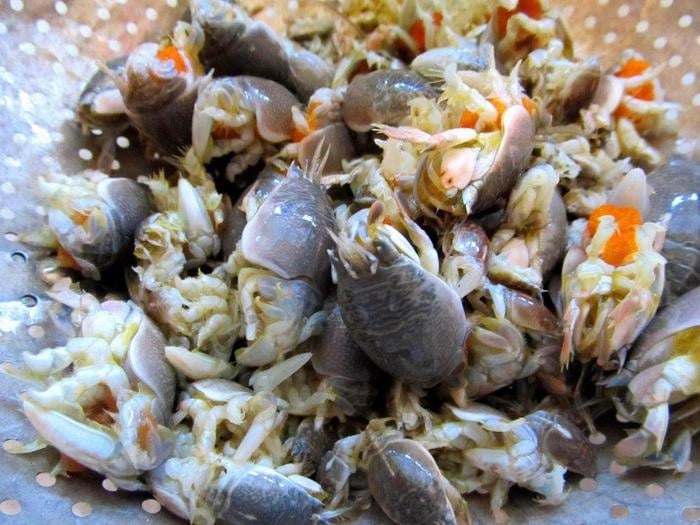 Con đặc sản có tên lạ xưa đầy nay hiếm, to nhất cũng chỉ nhỉnh hơn ngón chân cái, muốn ăn phải tới nơi này- Ảnh 2.