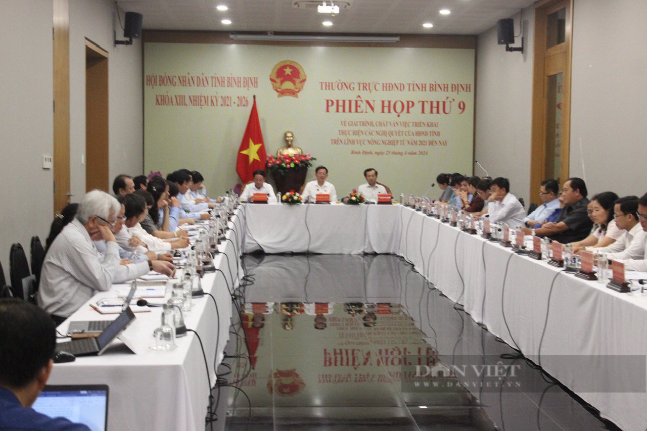 HĐND tỉnh Bình Định ban hành chính sách khuyến khích nuôi gà thả đồi, sau 2 năm tại sao chỉ có 7 hộ tham gia?- Ảnh 3.