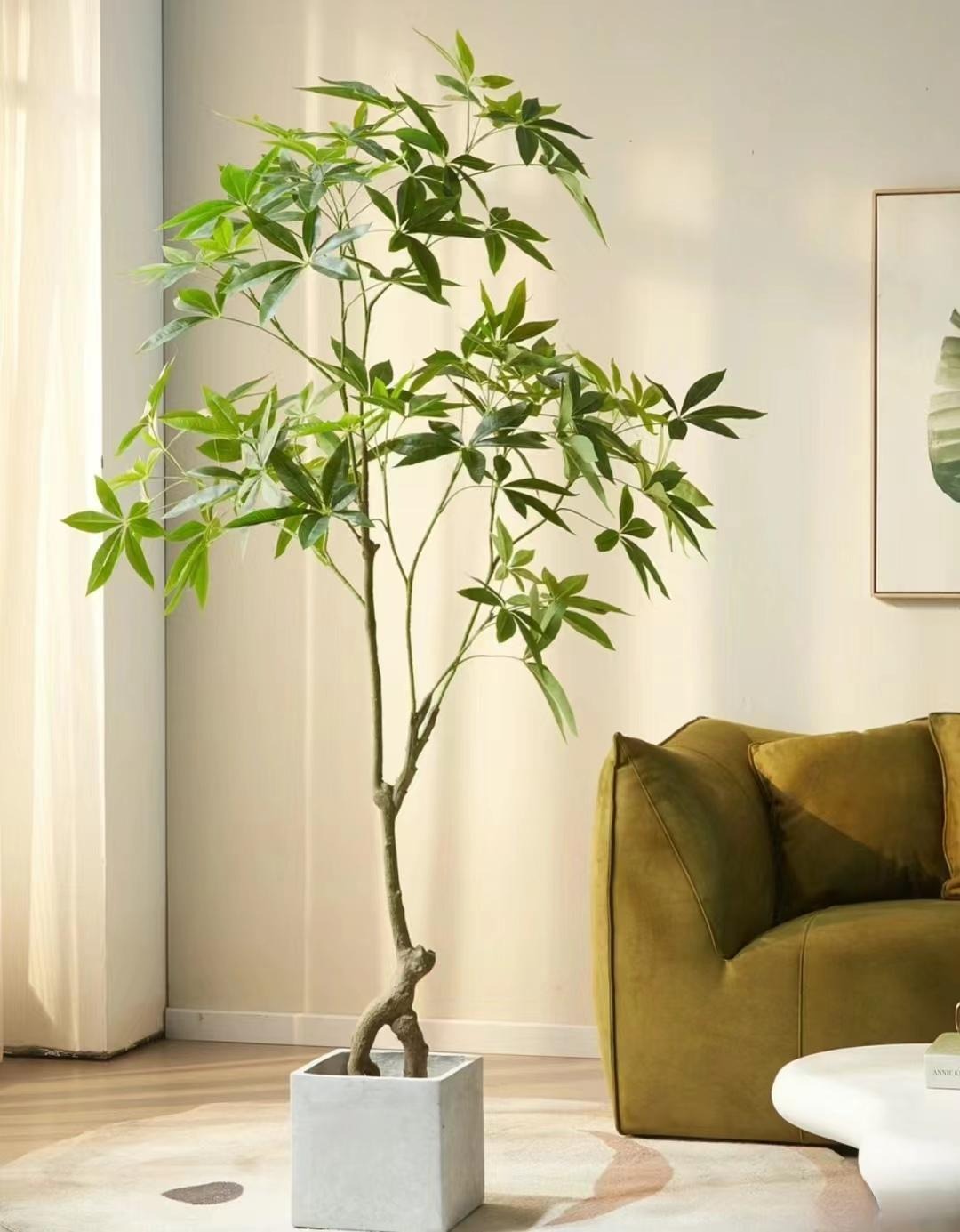 "Lên đời" phòng khách với cây cảnh cao cấp, sang chảnh, cải thiện phong thủy, mang lại niềm vui- Ảnh 13.