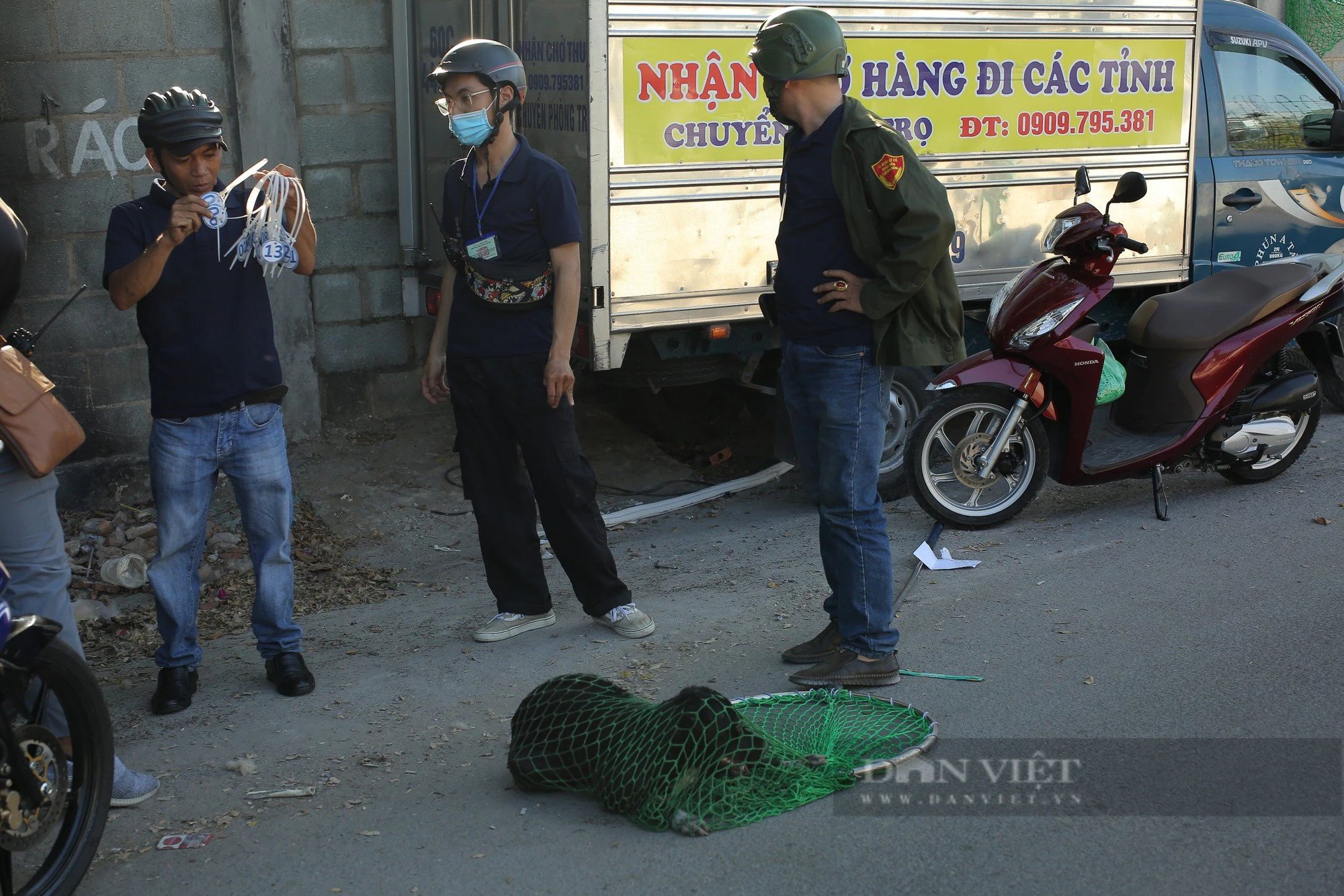 Bắt chó thả rông ở TP.HCM: Người phản ứng mạnh, người xin lại với lí do chó không cắn ai- Ảnh 1.