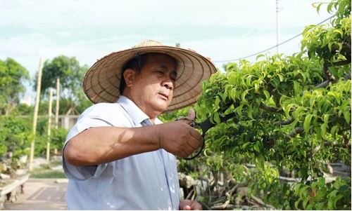 Dũng sĩ 18 tuổi và những trận đánh xe tăng lừng lẫy- Ảnh 3.