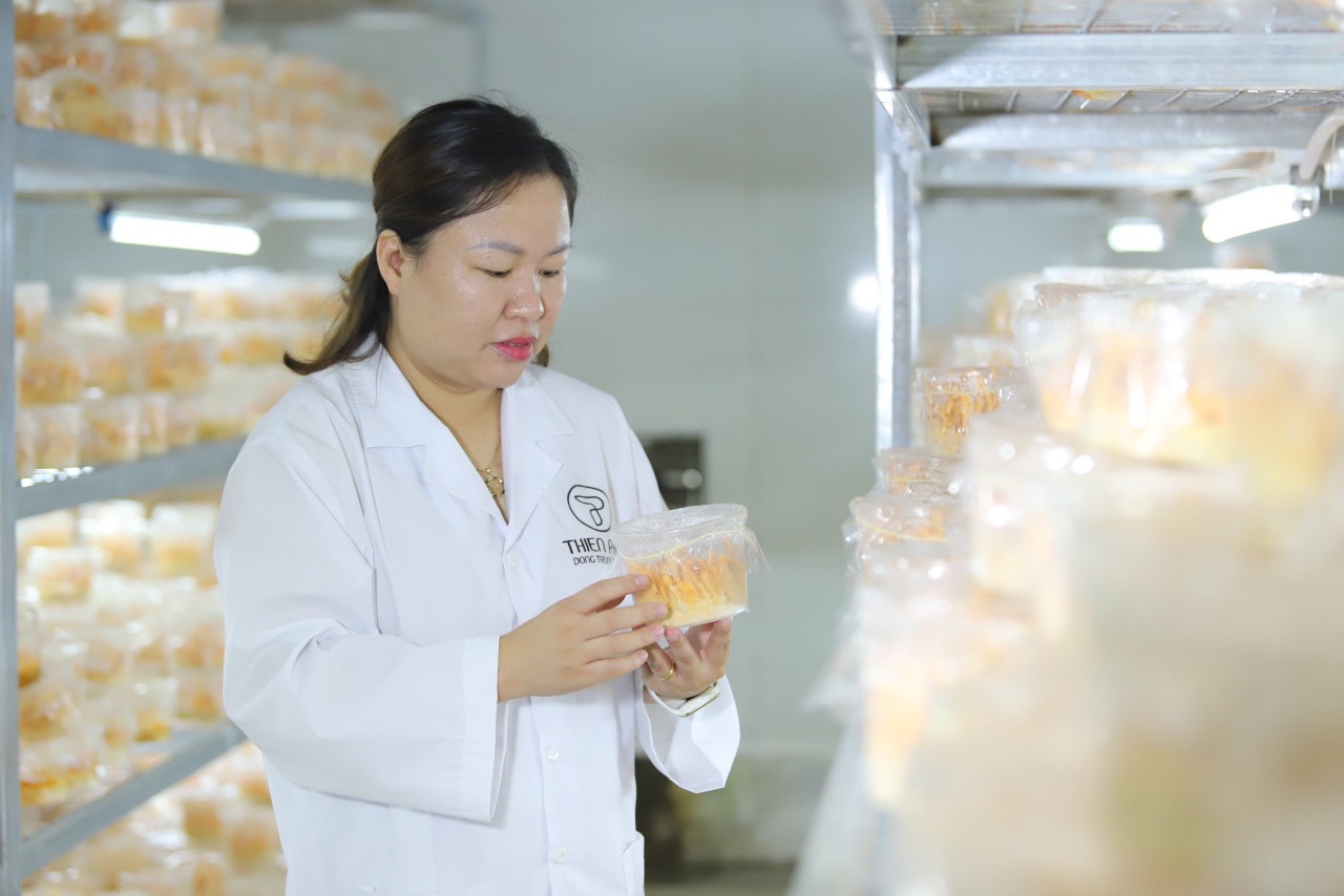 Đông trùng hạ thảo Thiên Phúc: Thương hiệu Việt 15 năm vì sức khỏe cộng đồng  - Ảnh 1.