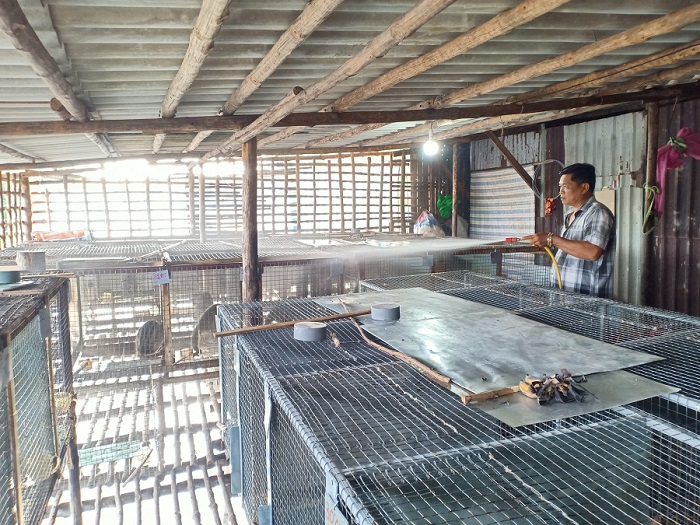 Một nông dân Cà Mau cứ đút chuối chín cho một con động vật nuôi trong lồng, bán 5,5 triệu/con- Ảnh 2.