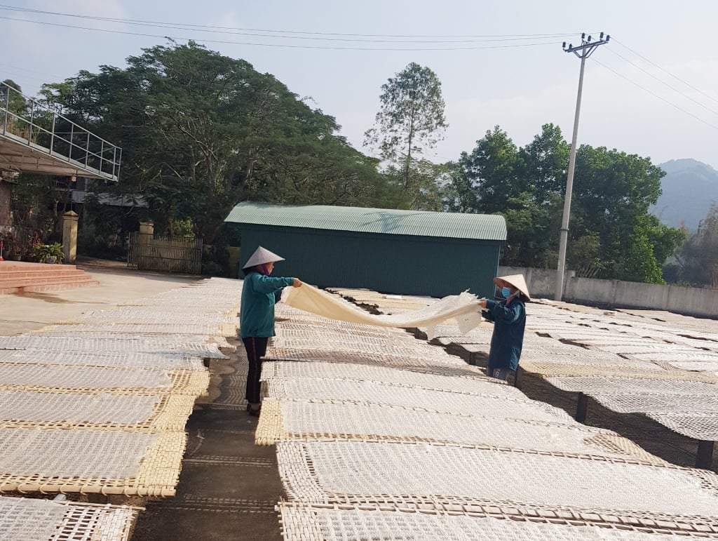 Quảng Ninh: Giải ngân 1 tỷ đồng tiếp sức nông dân phát triển sản phẩm thương hiệu miến dong Bình Liêu- Ảnh 1.