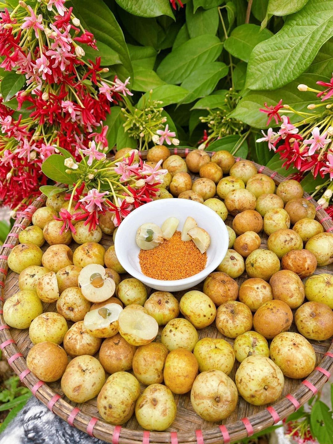 Loại quả dại "nhỏ xíu" trước rụng đầy gốc không ai nhặt nay "đắt như tôm tươi"- Ảnh 3. Loại quả dại "nhỏ xíu" trước rụng đầy gốc không ai nhặt nay "đắt như tôm tươi"- Ảnh 3.