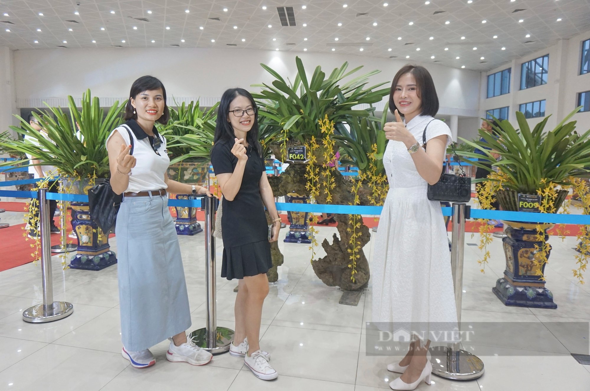 200 chậu lan kiếm đẹp mê hồn được giới thiệu tại một lễ hội ở TP.Đà Nẵng- Ảnh 7.