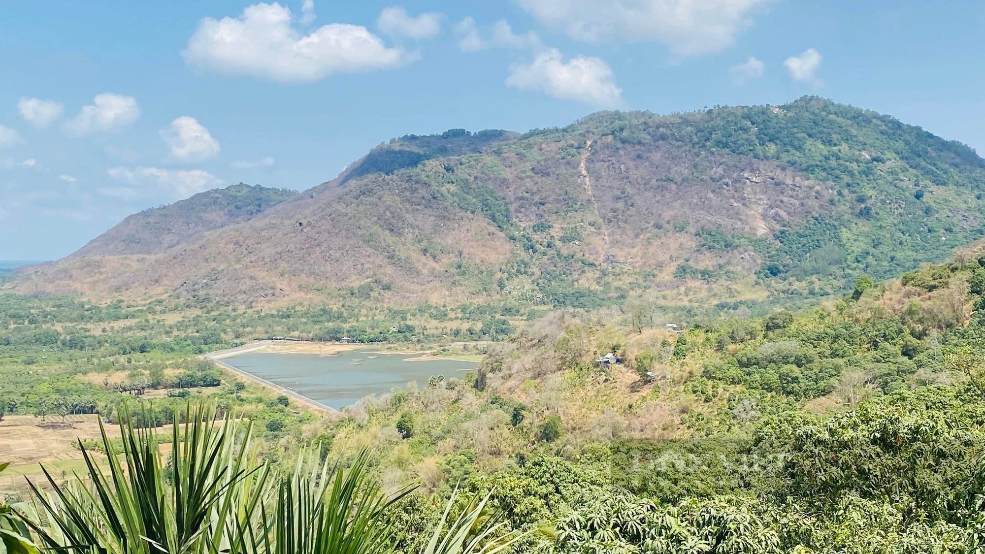 Nắng nóng kéo dài, hồ chứa cũng trơ cả đáy, nông dân vùng Bảy Núi của An Giang oằn mình bảo vệ cây trái- Ảnh 5.