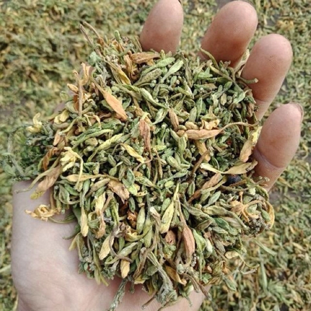 Loại hoa nhỏ quen thuộc mọc đầy ở quê được mệnh danh là vị thuốc quý, nay được nhiều người lùng mua- Ảnh 4.