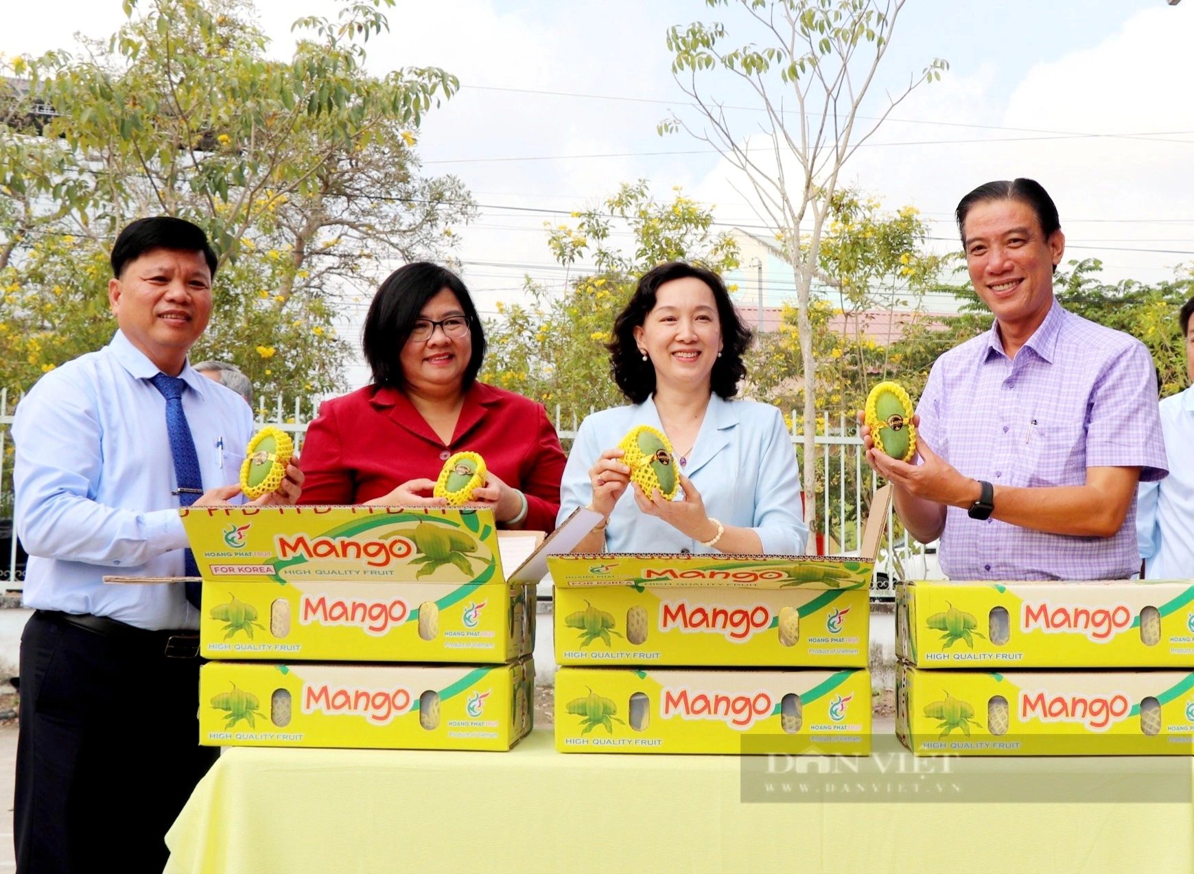 Vùng đất giải phóng sau cùng của An Giang lại là nơi xuất khẩu lô xoài đầu tiên của tỉnh- Ảnh 2.