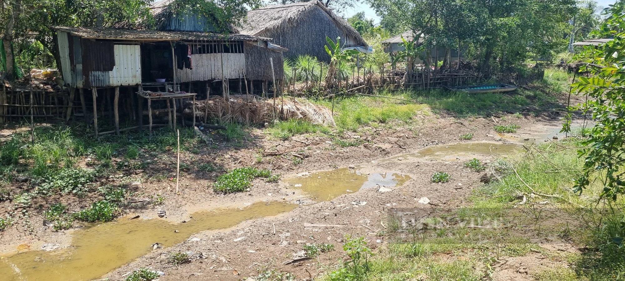 Giữa mùa hạn mặn mà vùng đệm U Minh Thượng của Kiên Giang sụt đất, sạt lở, ngành chức năng phát cảnh báo- Ảnh 3.