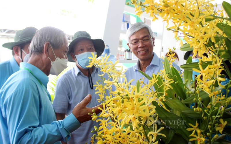 Sản xuất nông nghiệp chuyển đổi theo hướng nông nghiệp đô thị, nông nghiệp công nghệ cao. Ảnh: Việt Dũng