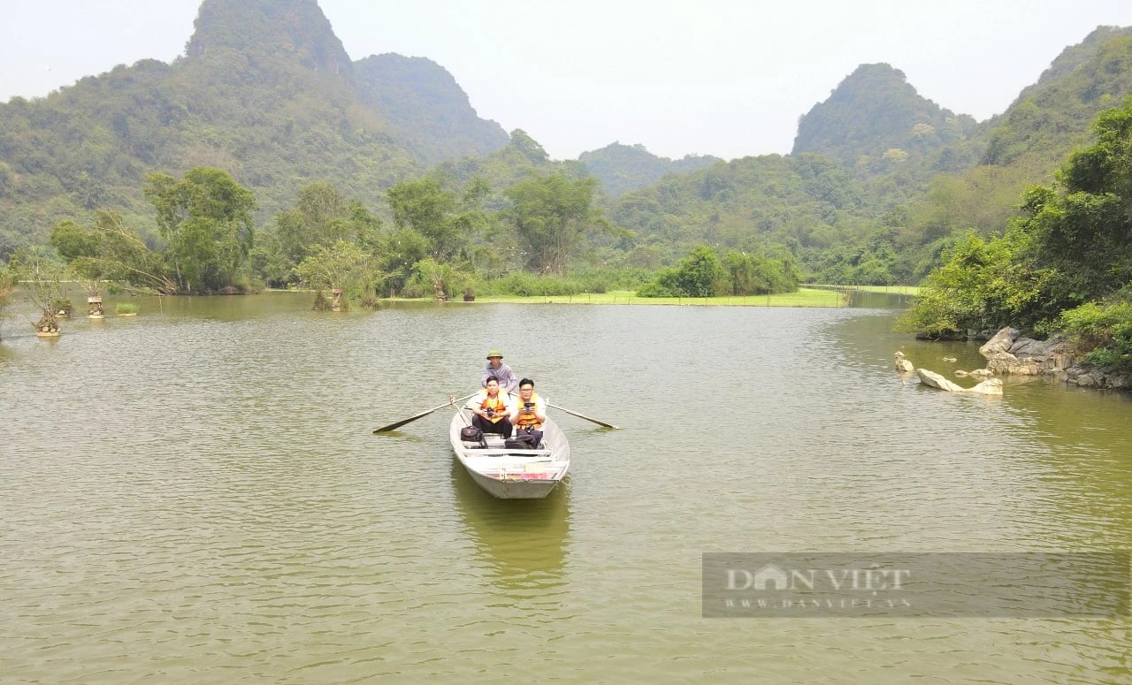 Hai loài chim hoang dã dạng quý hiếm ở Ninh Bình có tên trong Sách Đỏ, bay rợp cả cái thung đẹp như phim- Ảnh 1.
