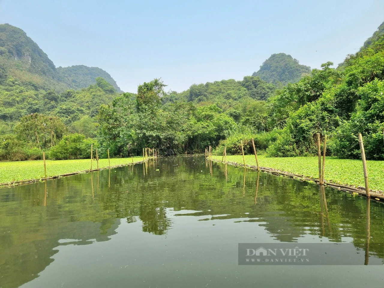 Hai loài chim hoang dã dạng quý hiếm ở Ninh Bình có tên trong Sách Đỏ, bay rợp cả cái thung đẹp như phim- Ảnh 7.