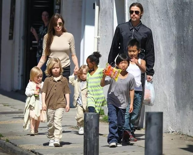 Con gái ruột Brad Pitt ra tuyên bố chống lại Pax Thiên- Ảnh 2.