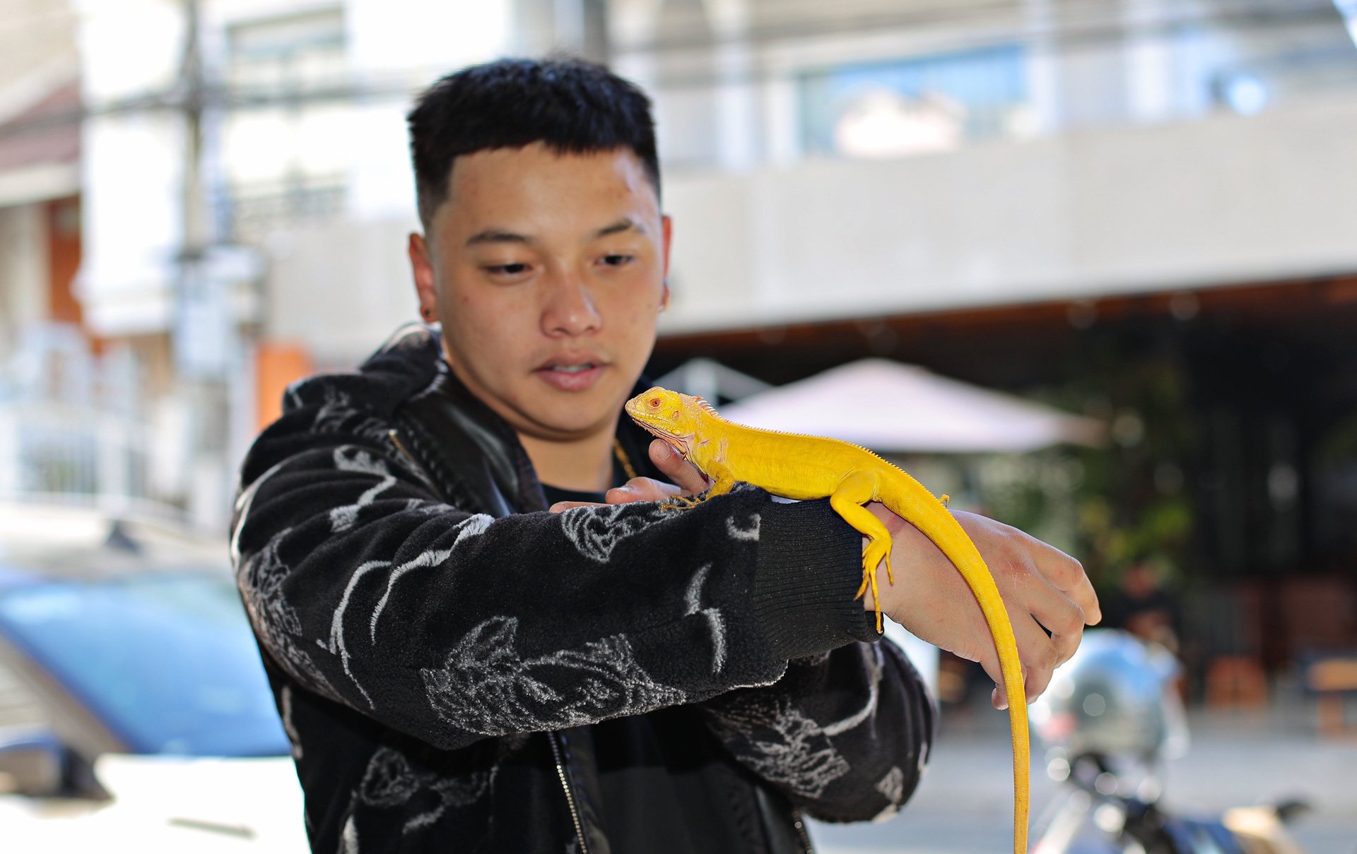 Nuôi loài thú cưng có vẻ ngoài hung dữ, hầm hố có trong sách Đỏ, cơ quan chức năng khuyến cáo điều này- Ảnh 1.