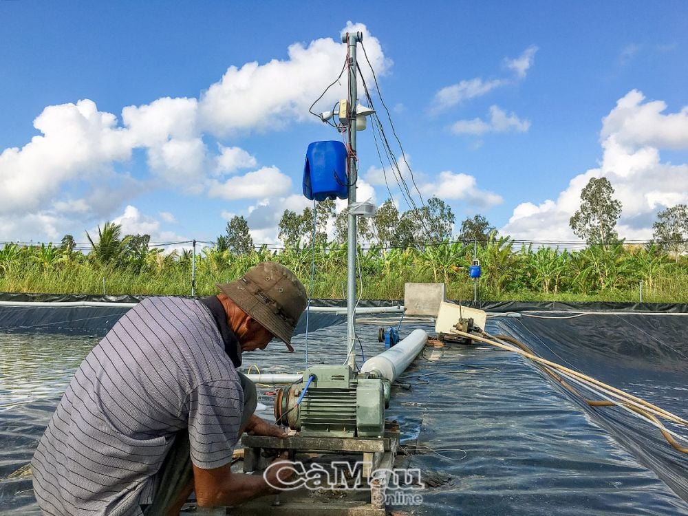 Nuôi tôm ở Cà Mau kiểu gì mà ông chủ đứng trên bờ bấm nút, lập tức dưới ao tôm đã "có cái bỏ mồm"?- Ảnh 1.