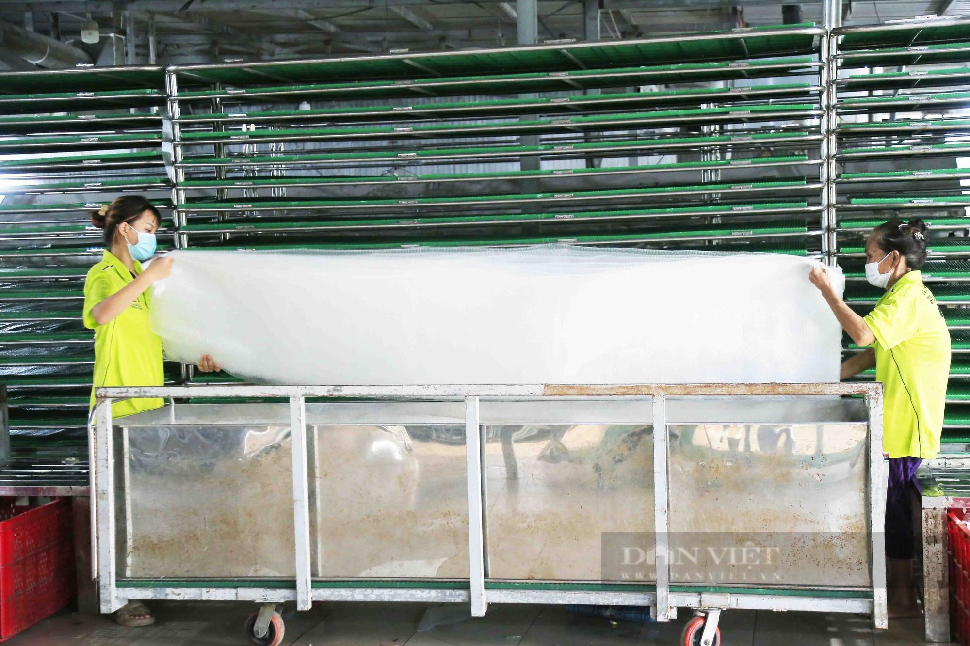 Cơ hội tốt để sản phẩm nông nghiệp TP.HCM được tôn vinh- Ảnh 3.