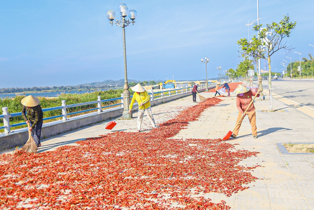 Đường ngàn tỷ đẹp nhất, nhì tỉnh Quảng Ngãi đỏ “lừ” vì ớt - Ảnh 3. Đường ngàn tỷ đẹp nhất, nhì tỉnh Quảng Ngãi đỏ “lừ” vì ớt - Ảnh 3.