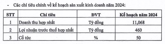 Cadivi (CAV) dự trình lợi nhuận "đi lùi", muốn huỷ niêm yết cổ phiếu trên HoSE- Ảnh 1.