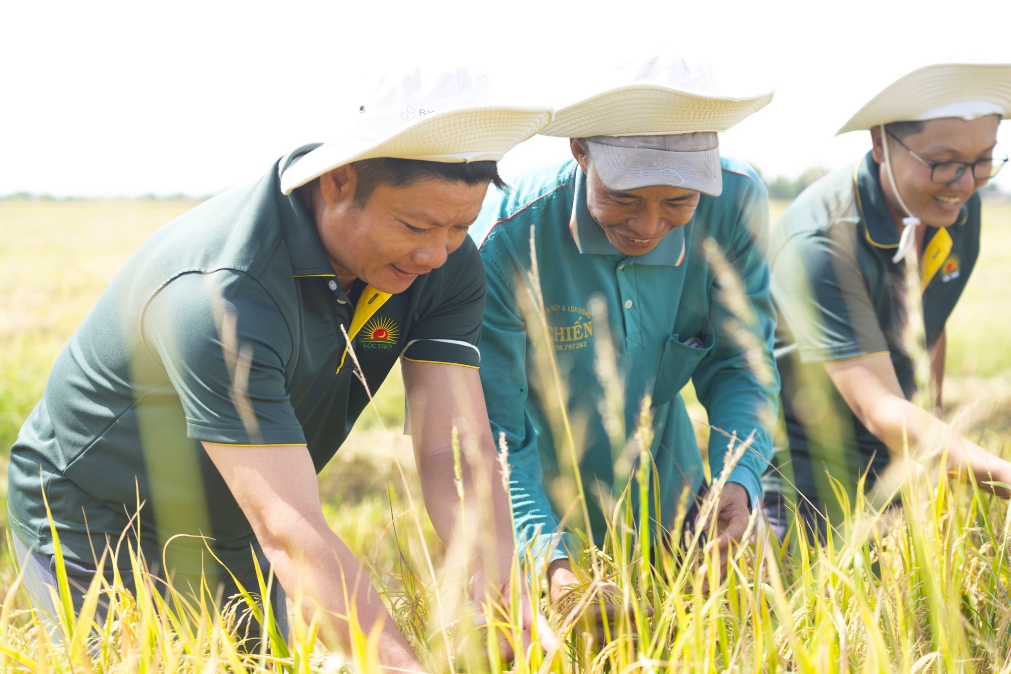Qua tay kiểm toán, báo cáo doanh nghiệp đang hồng bỗng nhiên biến sắc - Ảnh 1.