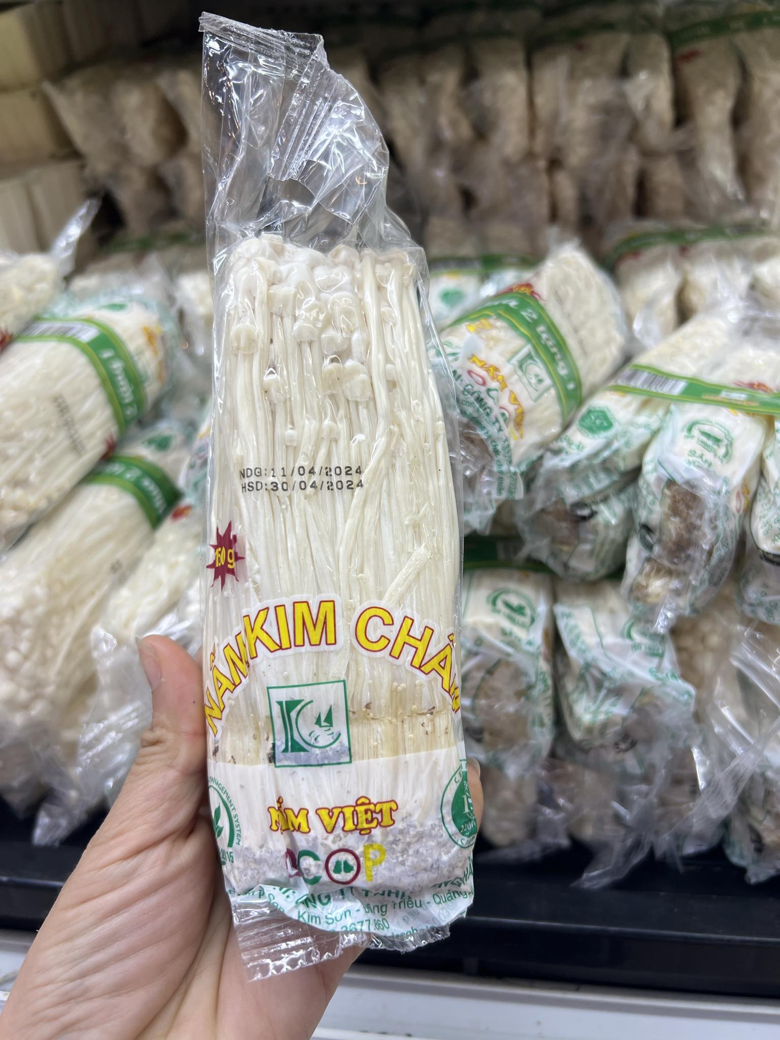 Sự thật về loại nấm kim châm được bán với giá 20.000 đồng/kg trên mạng xã hội- Ảnh 3.