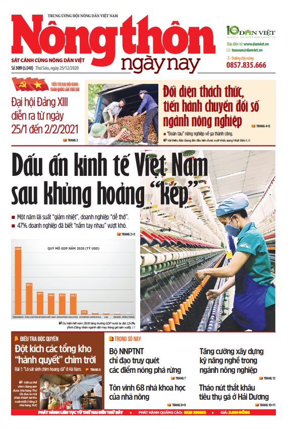 Từ loạt bài điều tra của Báo NTNN/Dân Việt: "Cây gậy vàng" bảo vệ chim hoang dã ở Việt Nam- Ảnh 1.