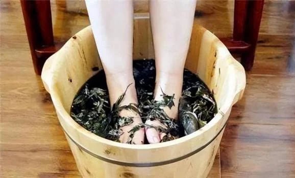 Loại rau quê cực bổ dưỡng, nhiều người không biết đem vứt bỏ phần gốc "thần dược"- Ảnh 2. Loại rau quê cực bổ dưỡng, nhiều người không biết đem vứt bỏ phần gốc "thần dược"- Ảnh 2.