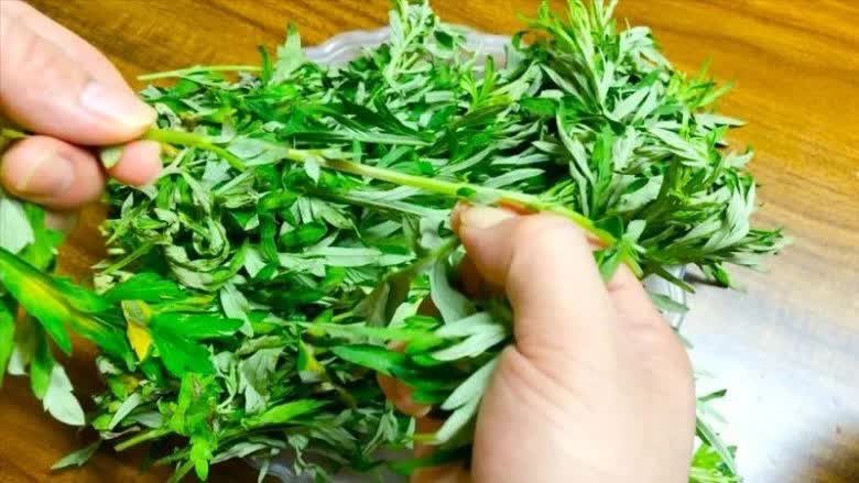 Loại rau quê cực bổ dưỡng, nhiều người không biết đem vứt bỏ phần gốc "thần dược"- Ảnh 1. Loại rau quê cực bổ dưỡng, nhiều người không biết đem vứt bỏ phần gốc "thần dược"- Ảnh 1.