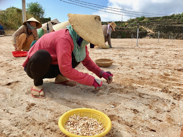 Trung tâm dịch vụ Nông nghiệp Lý Sơn lên tiếng vụ máy xới đất cấp hỗ trợ nằm trong thùng- Ảnh 4. Trung tâm dịch vụ Nông nghiệp Lý Sơn lên tiếng vụ máy xới đất cấp hỗ trợ nằm trong thùng- Ảnh 4.