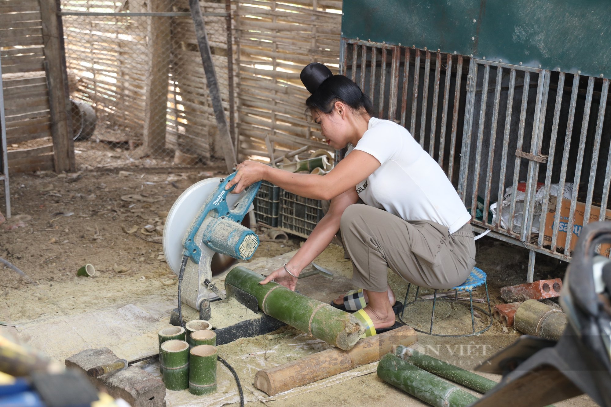 Nuôi con vật thích ăn cơm trộn bột ngô, bột tre, một nông dân Sơn La bán con nào hết con đó- Ảnh 6.