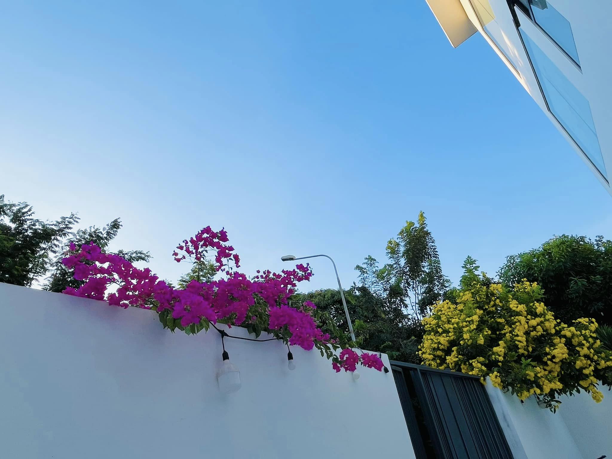 Thủy Tiên khoe biệt thự triệu đô trải đầy hoa sau thời gian rời mạng xã hội- Ảnh 2.