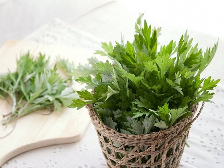 8 tác dụng tuyệt vời của ngải cứu với sức khỏe- Ảnh 1. 8 tác dụng tuyệt vời của ngải cứu với sức khỏe- Ảnh 1.