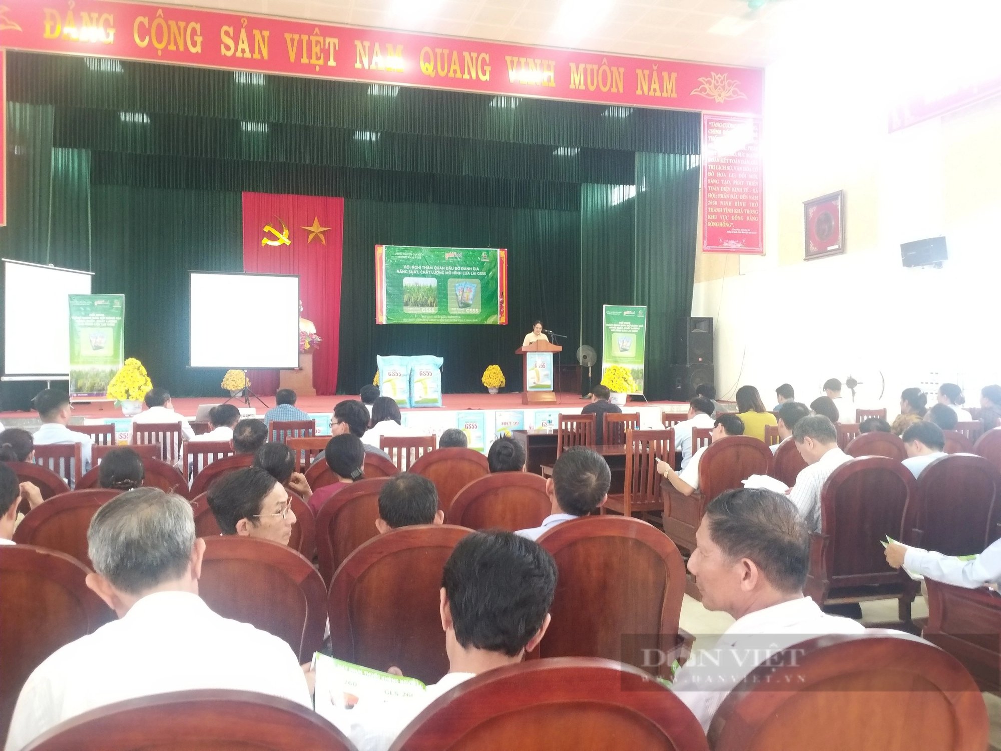 Ninh Bình: Lúa lai GS55 cho năng suất vượt trội, kháng sâu bệnh, chống chịu rét tốt- Ảnh 1.