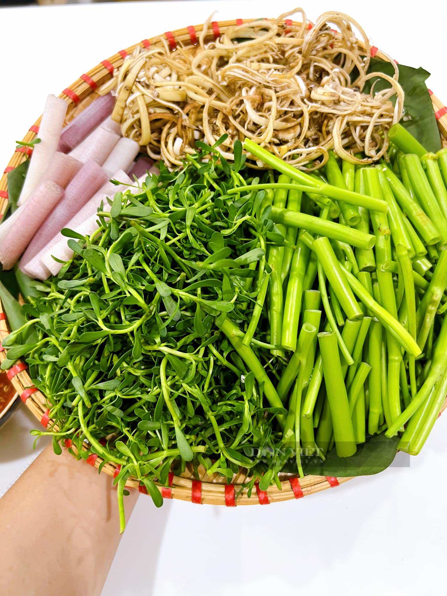 Bộ phận độc nhất vô nhị của con heo, bổ bằng 10 vị thuốc, om với loại quả mùa hè siêu ngon- Ảnh 3.