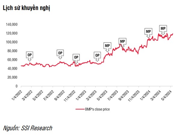 SSI Research: Khuyến nghị trung lập cổ phiếu BMP, giá mục tiêu 1 năm 115.900 đồng/cổ phiếu- Ảnh 3.