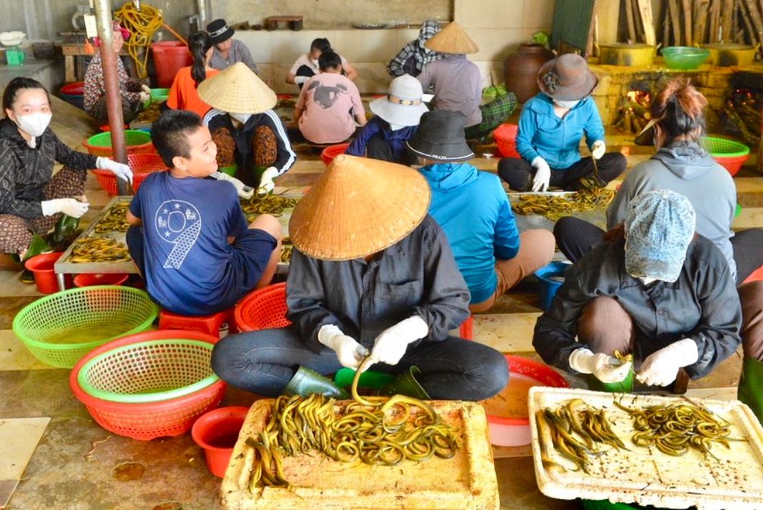 Cả làng kiếm bộn tiền từ con đặc sản "cưỡi máy bay xuất ngoại”- Ảnh 6. Cả làng kiếm bộn tiền từ con đặc sản "cưỡi máy bay xuất ngoại”- Ảnh 6.