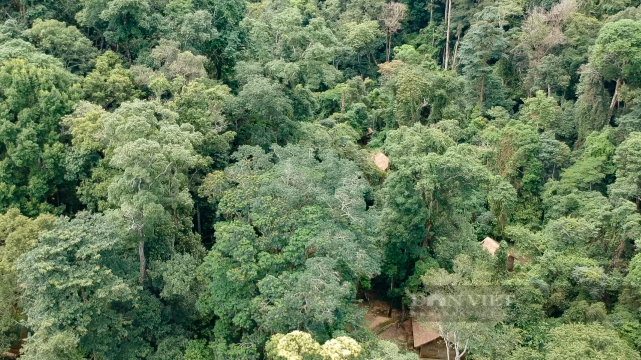 Người dân Mường Phăng nhớ về Đại tướng Võ Nguyên Giáp- Ảnh 2.