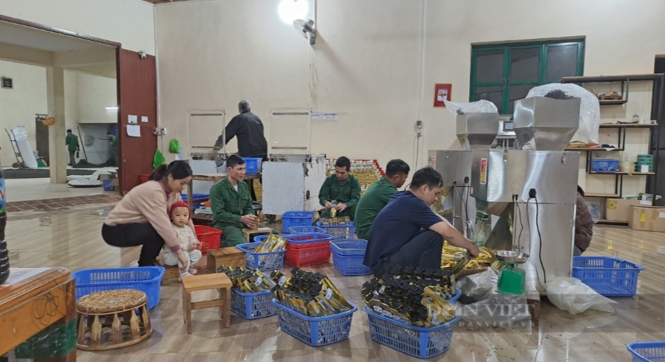 Kinh tế tập thể tạo việc làm, nâng cao thu nhập, xây dựng nông thôn mới hiệu quả tại Thái Nguyên- Ảnh 2.