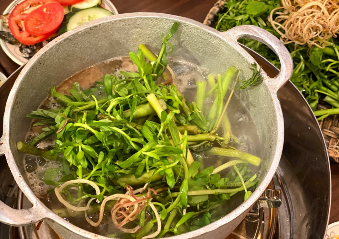 Ăn 1 mớ rau này tốt ngang thịt, mọc dại đầy mương nhưng ví như "thuốc"- Ảnh 1. Ăn 1 mớ rau này tốt ngang thịt, mọc dại đầy mương nhưng ví như "thuốc"- Ảnh 1.